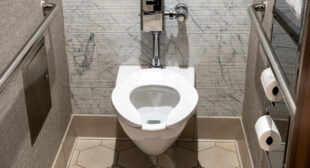 What is the Ideal Toilet Seat Direction as per Vastu?